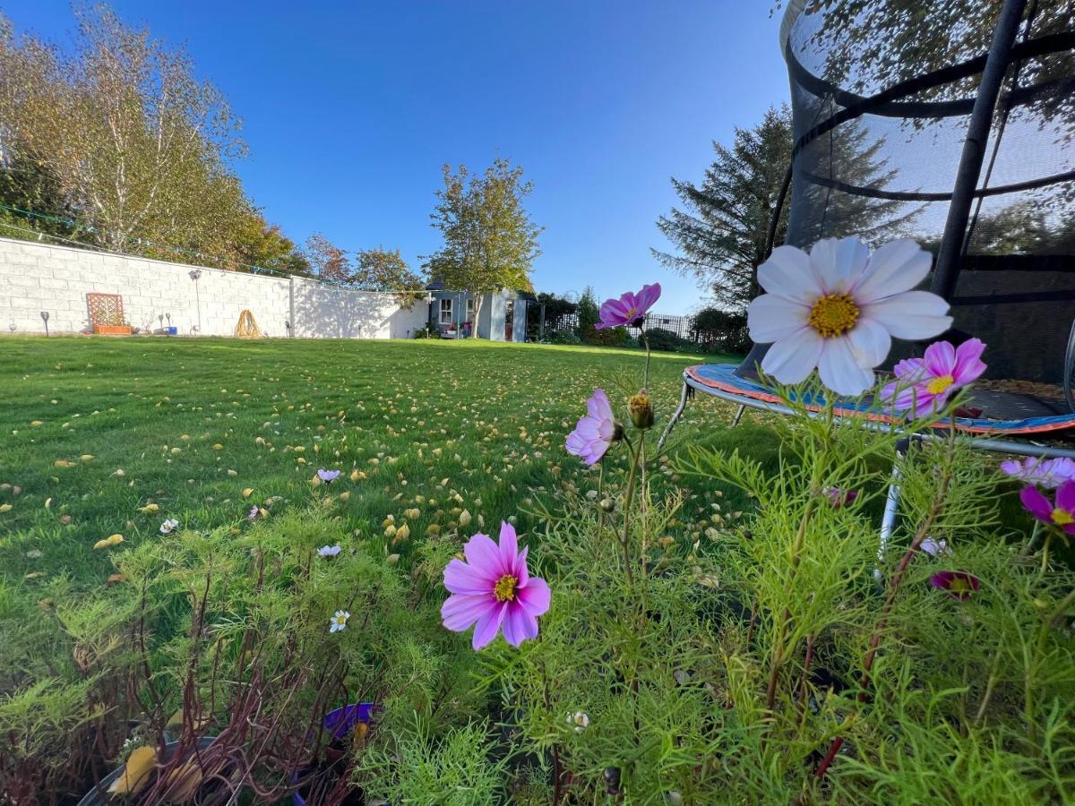 Hillview Bed & Breakfast Enniskerry Exterior photo